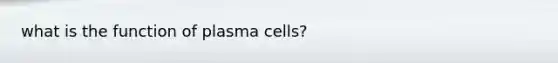 what is the function of plasma cells?