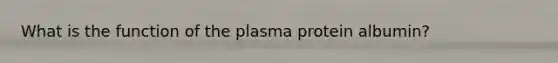 What is the function of the plasma protein albumin?