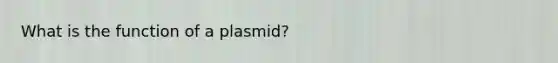 What is the function of a plasmid?