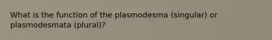 What is the function of the plasmodesma (singular) or plasmodesmata (plural)?