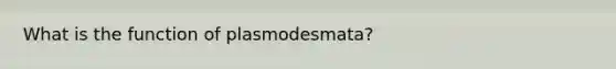 What is the function of plasmodesmata?