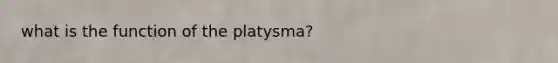 what is the function of the platysma?