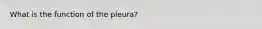 What is the function of the pleura?