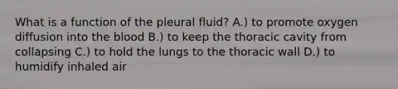 What is a function of the pleural fluid? A.) to promote oxygen diffusion into the blood B.) to keep the thoracic cavity from collapsing C.) to hold the lungs to the thoracic wall D.) to humidify inhaled air