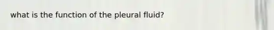 what is the function of the pleural fluid?