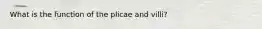 What is the function of the plicae and villi?