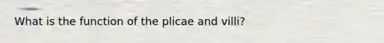 What is the function of the plicae and villi?