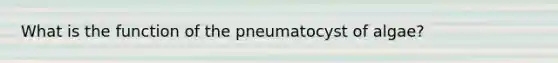 What is the function of the pneumatocyst of algae?