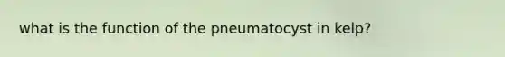 what is the function of the pneumatocyst in kelp?