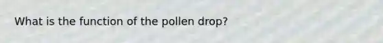 What is the function of the pollen drop?