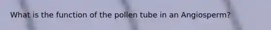 What is the function of the pollen tube in an Angiosperm?