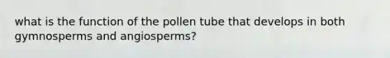 what is the function of the pollen tube that develops in both gymnosperms and angiosperms?