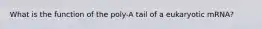 What is the function of the poly-A tail of a eukaryotic mRNA?