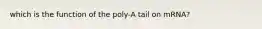 which is the function of the poly-A tail on mRNA?