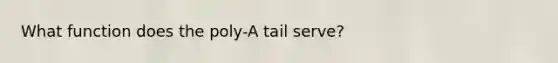 What function does the poly-A tail serve?