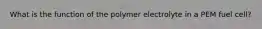 What is the function of the polymer electrolyte in a PEM fuel cell?