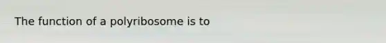 The function of a polyribosome is to