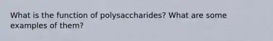 What is the function of polysaccharides? What are some examples of them?