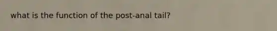 what is the function of the post-anal tail?