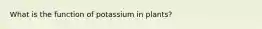 What is the function of potassium in plants?