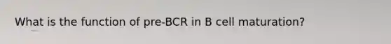 What is the function of pre-BCR in B cell maturation?