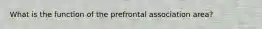 What is the function of the prefrontal association area?