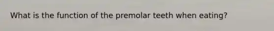 What is the function of the premolar teeth when eating?