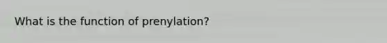 What is the function of prenylation?