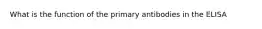 What is the function of the primary antibodies in the ELISA
