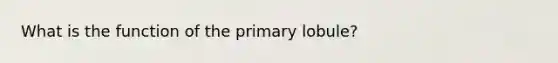 What is the function of the primary lobule?