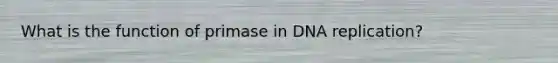 What is the function of primase in <a href='https://www.questionai.com/knowledge/kofV2VQU2J-dna-replication' class='anchor-knowledge'>dna replication</a>?