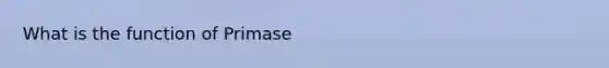 What is the function of Primase