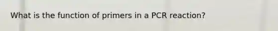 What is the function of primers in a PCR reaction?