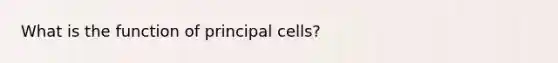 What is the function of principal cells?