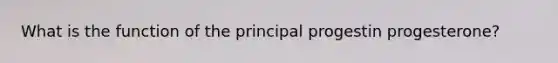 What is the function of the principal progestin progesterone?