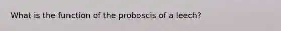 What is the function of the proboscis of a leech?