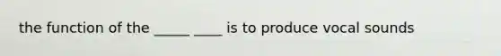 the function of the _____ ____ is to produce vocal sounds