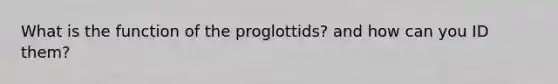 What is the function of the proglottids? and how can you ID them?