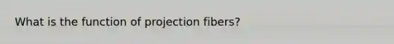 What is the function of projection fibers?