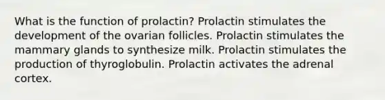 What is the function of prolactin? Prolactin stimulates the development of the ovarian follicles. Prolactin stimulates the mammary glands to synthesize milk. Prolactin stimulates the production of thyroglobulin. Prolactin activates the adrenal cortex.