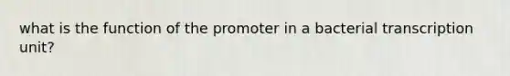 what is the function of the promoter in a bacterial transcription unit?