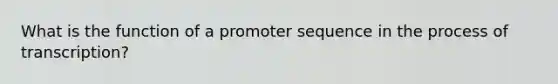 What is the function of a promoter sequence in the process of transcription?