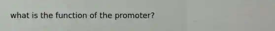 what is the function of the promoter?