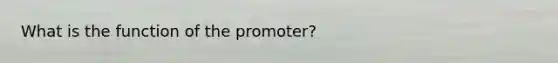 What is the function of the promoter?