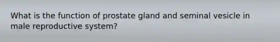 What is the function of prostate gland and seminal vesicle in male reproductive system?