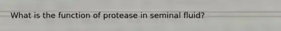 What is the function of protease in seminal fluid?