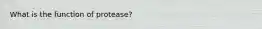 What is the function of protease?