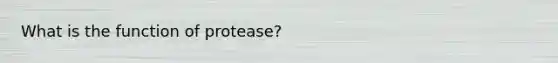 What is the function of protease?