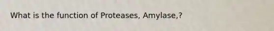 What is the function of Proteases, Amylase,?