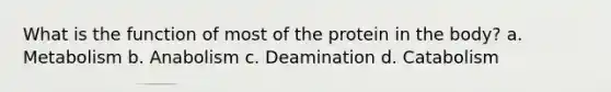 What is the function of most of the protein in the body? a. Metabolism b. Anabolism c. Deamination d. Catabolism